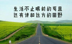 第六届中国产业互联网大会暨第三届宁波产业发展论坛在宁波隆重举行
